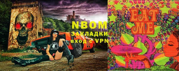 гашик Володарск